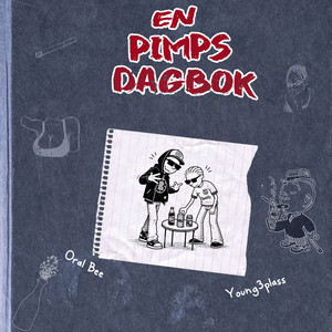 En Pimps Dagbok