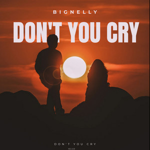 Don't You Cry by BIG NELLY
