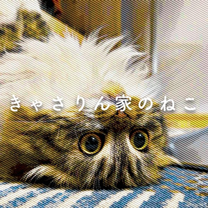 きゃさりん家のねこ by きゃさりん
