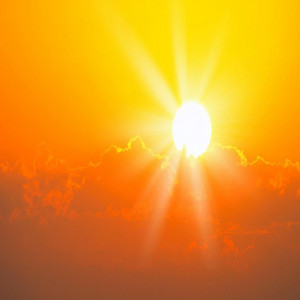 CURVEZOID — Morning Sun