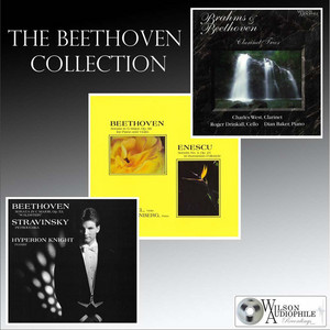 ベートーヴェン 音楽コレクション The Beethoven Collection - Compilation by Various Artists | Spotify