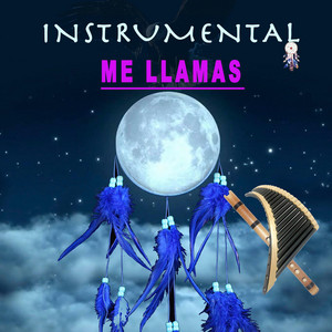 Music festival Andina - Me llamas