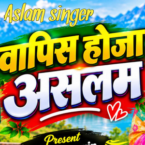वापिस होजा असलम by Aslam Singer Zamidar