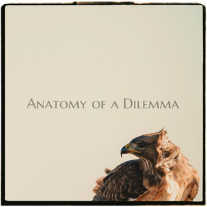 Anatomy of a Dilemma by Fleauxone