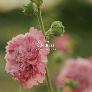 Endless by Henry Flower