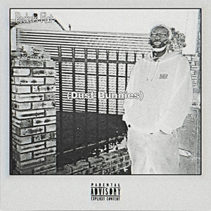 AUDIBLE KNWLDG. - Pockets Flat (Dust Bunnies)