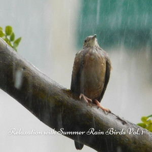 Relaxation with Summer Rain Birds Vol. 1 album
