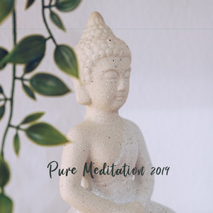Pure Meditation 2019: Meditation Music Zone, Deep Mindfulness, Meditation Therapy, Zen, Ambient Chill, Yoga Practice album