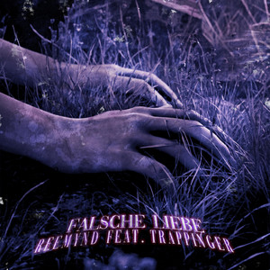 Portada de Falsche Liebe