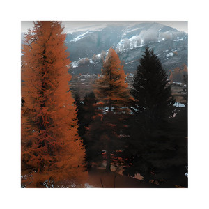 Autumn Leaves by al-an