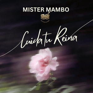 Cuida Tu Reina by Mister Mambo