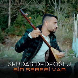 Bir Sebebi Var