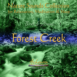 Nature Sounds Collection: Birds & Streams, Vol. 1 (Forest Creek) by Ashaneen