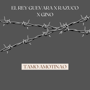 Tamo Amotinao by El Rey Guevara