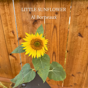 Little Sunflower by Al Borneaux