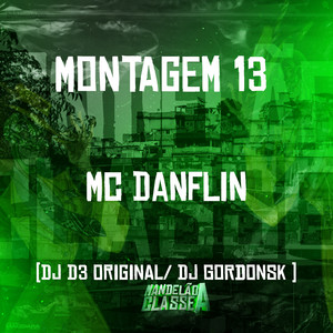 Montagem 13