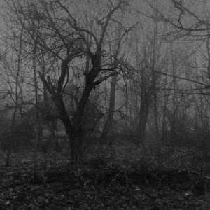 Death to Life by CHARNEL