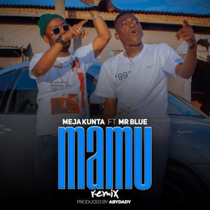 Mamu (feat. Mr.blue) [Remix]