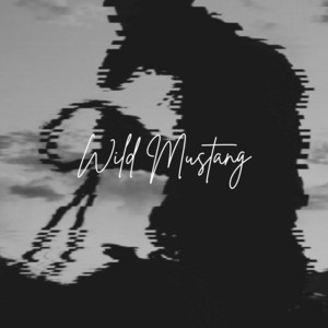 Dylan Tracy - Boots and Bourbon