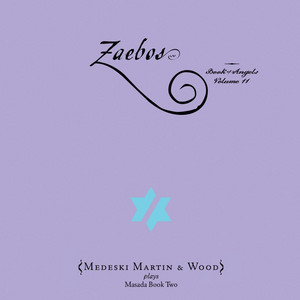 Zaebos: Book of Angels, Volume 11 cover