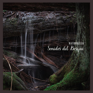 Naturaleza: Sonidos del Bosque