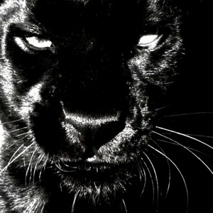 INTERIA! - FEROCITY (Slowed)