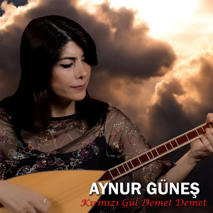 Kırmızı Gül Demet Demet