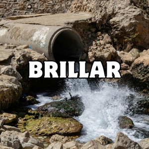 brillar by el sin freno