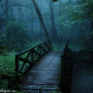 Why is it still raining by forgive me