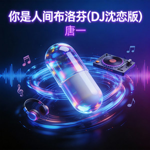 你是人间布洛芬(DJ沈恋版) by 唐一