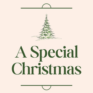 Outer Circle - A Special Christmas