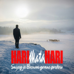 Snijeg je Bosnom grane prekrio