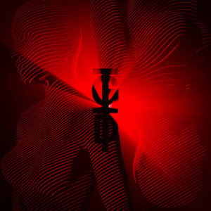 On Fire - Radio Edit by ANII