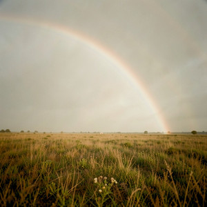 Rainbows by Stefan Mothander