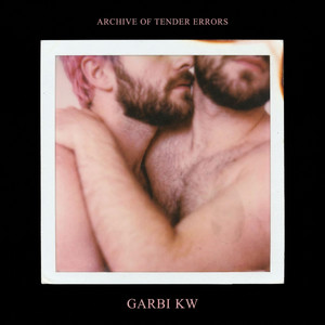 Portada de Archive of Tender Errors