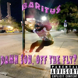 Damn Son, Off The Fly?