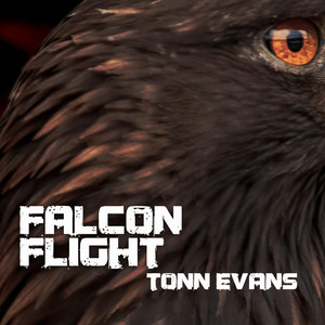 Falcon flight