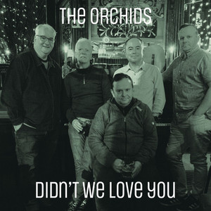 洋楽 The Orchids / Striving For The Lazy ... mqdefault.jpg