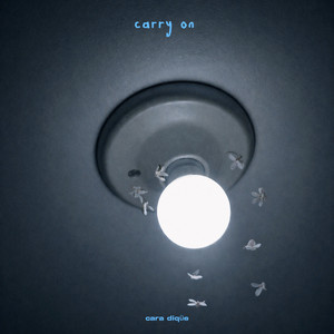 Carry On by cara diqüe