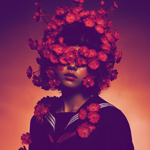 Recycled Fantasy by Veilr