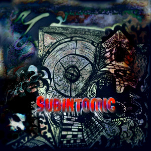 Bin On One - Trunk Space