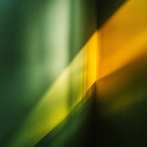 Sunleaf by Plain Days