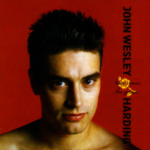 The Devil in Me by John Wesley Harding