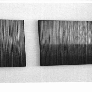 ICM009