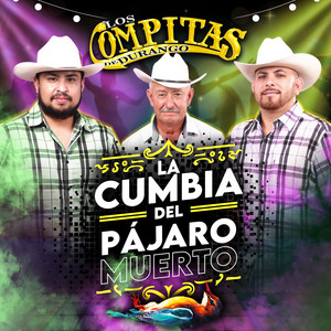 La Cumbia del Pájaro Muerto