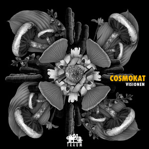 Cosmokat cover