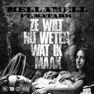 Ze Wilt Nu weten Wat Ik Maak by Mellamell, Matarr