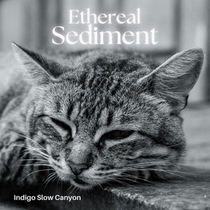 Pale Reflection by Indigo Slow Canyon