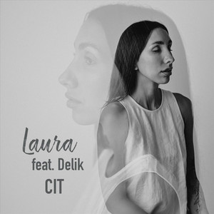CIT by Laura, Delik