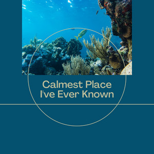 Calmest Place I've Ever Known album